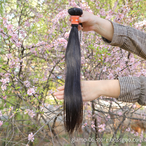 free sample wholesale brazilian hair bundles human,raw virgin brazilian cuticle aligned hair,8a grade virgin mink brazilian hair